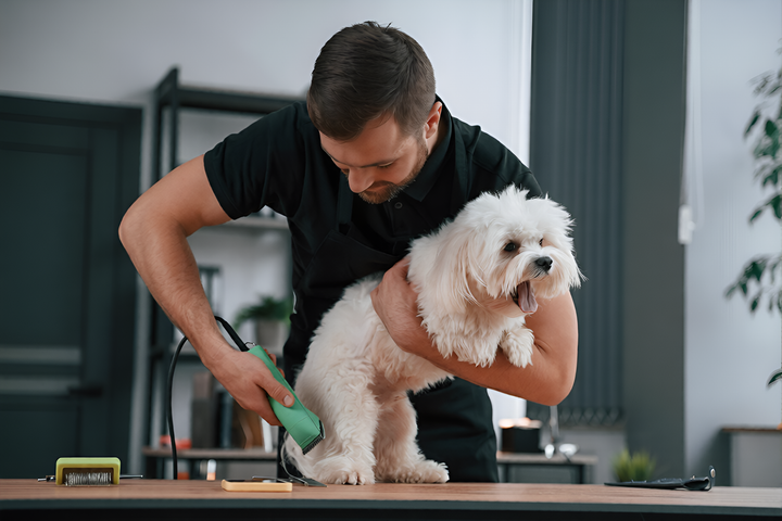Grooming Tools For Clean And Healthy Pets