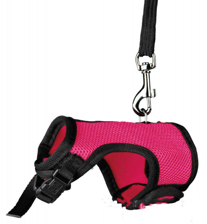 Small Pet Adjustable Walking Leash For Daily Use