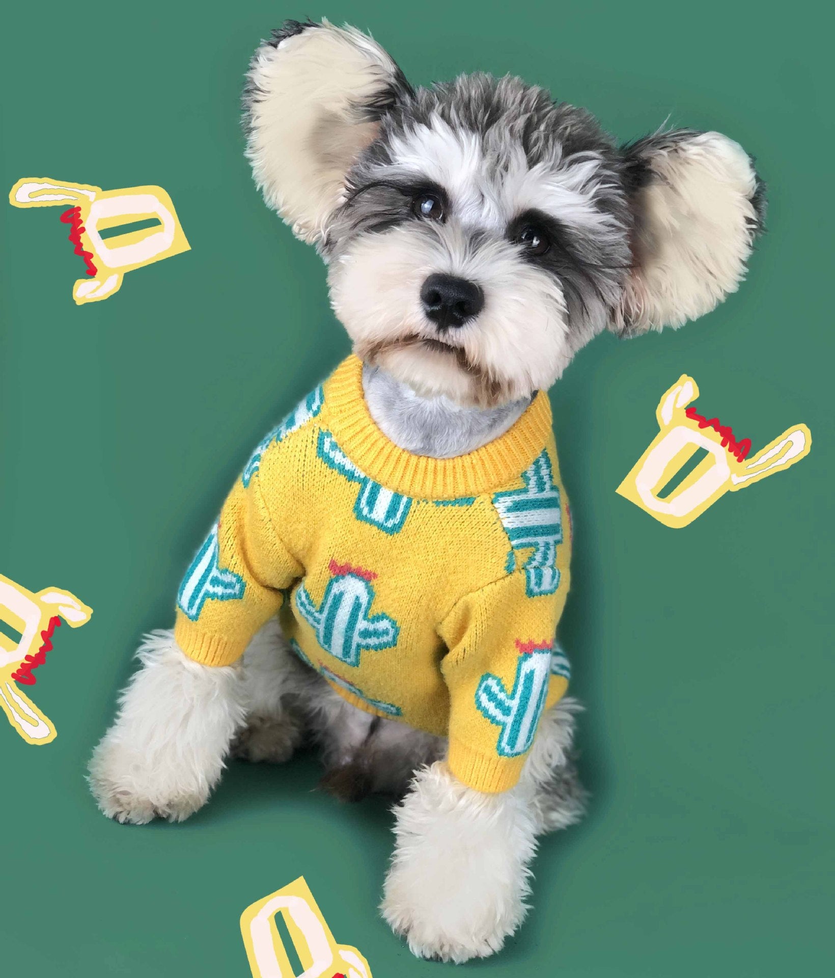 Pet Cactus Pattern Knit Sweater Warm Outfit