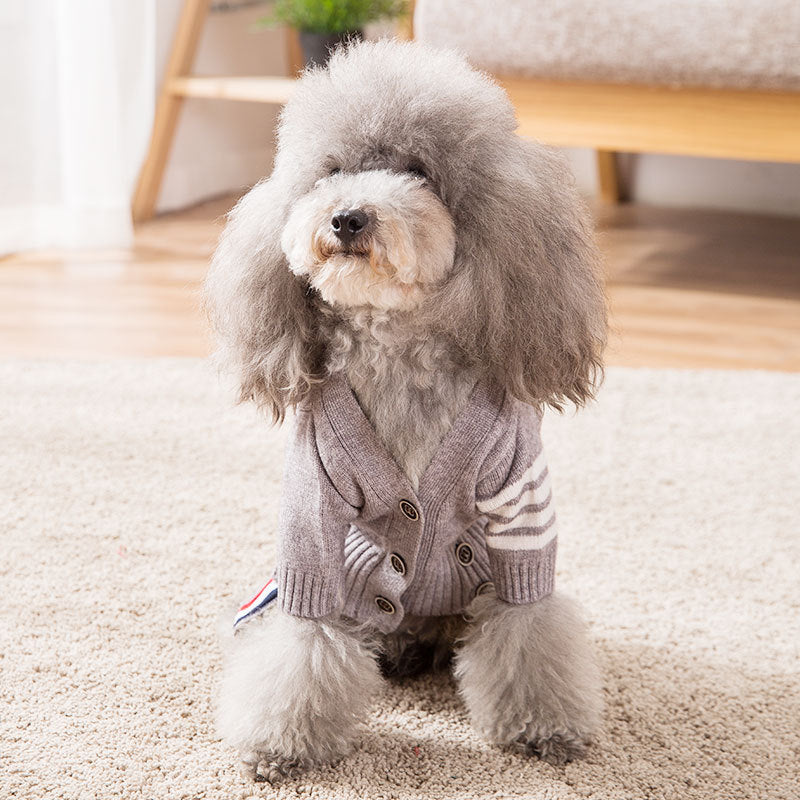 Pet Warm Knit Sweater Coat Outfit