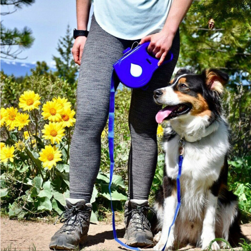 Multifunctional Automatic Retractable Portable Pet Walking Leash Durable