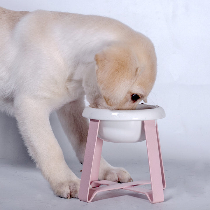 Creative Anti Slip Feeding Bowl With Iron Stand 2 In 1 For Pet