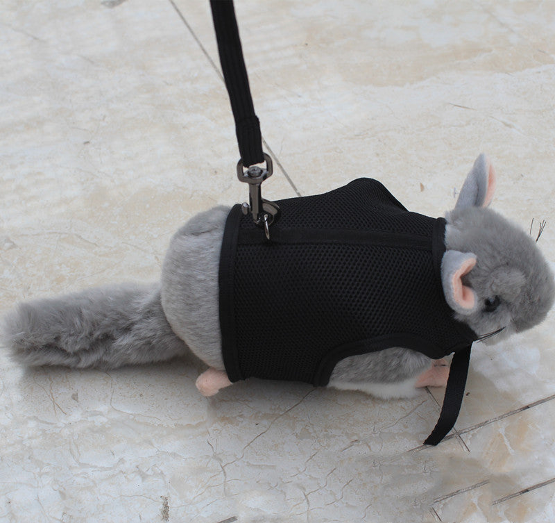Small Pet Adjustable Walking Leash For Daily Use