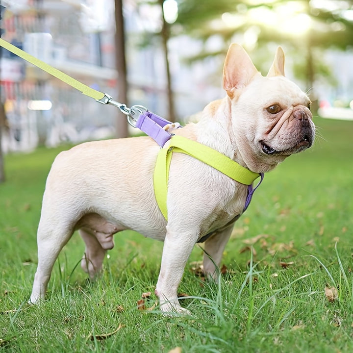 Rainbow Colorblock Pet Harness Set Anti Escape Vest Chest Leash Cotton Design