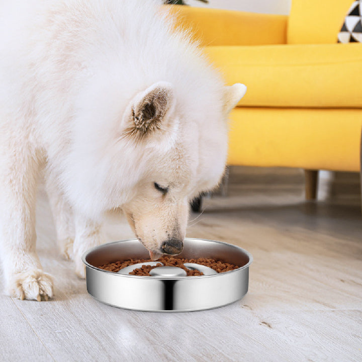 Stainless Steel Slow Feeding Bowl With Neck Protector For Pet