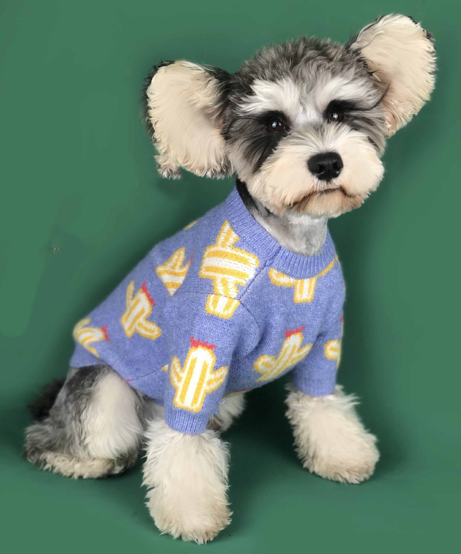 Pet Cactus Pattern Knit Sweater Warm Outfit