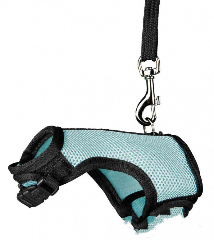 Small Pet Adjustable Walking Leash For Daily Use