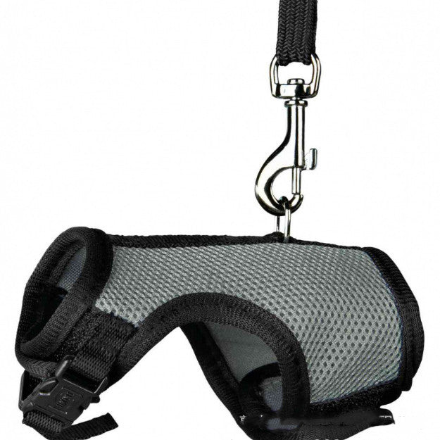 Small Pet Adjustable Walking Leash For Daily Use