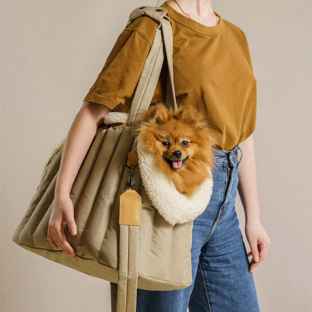 Pet Lightweight Waterproof Portable Handbag Carrier Bag