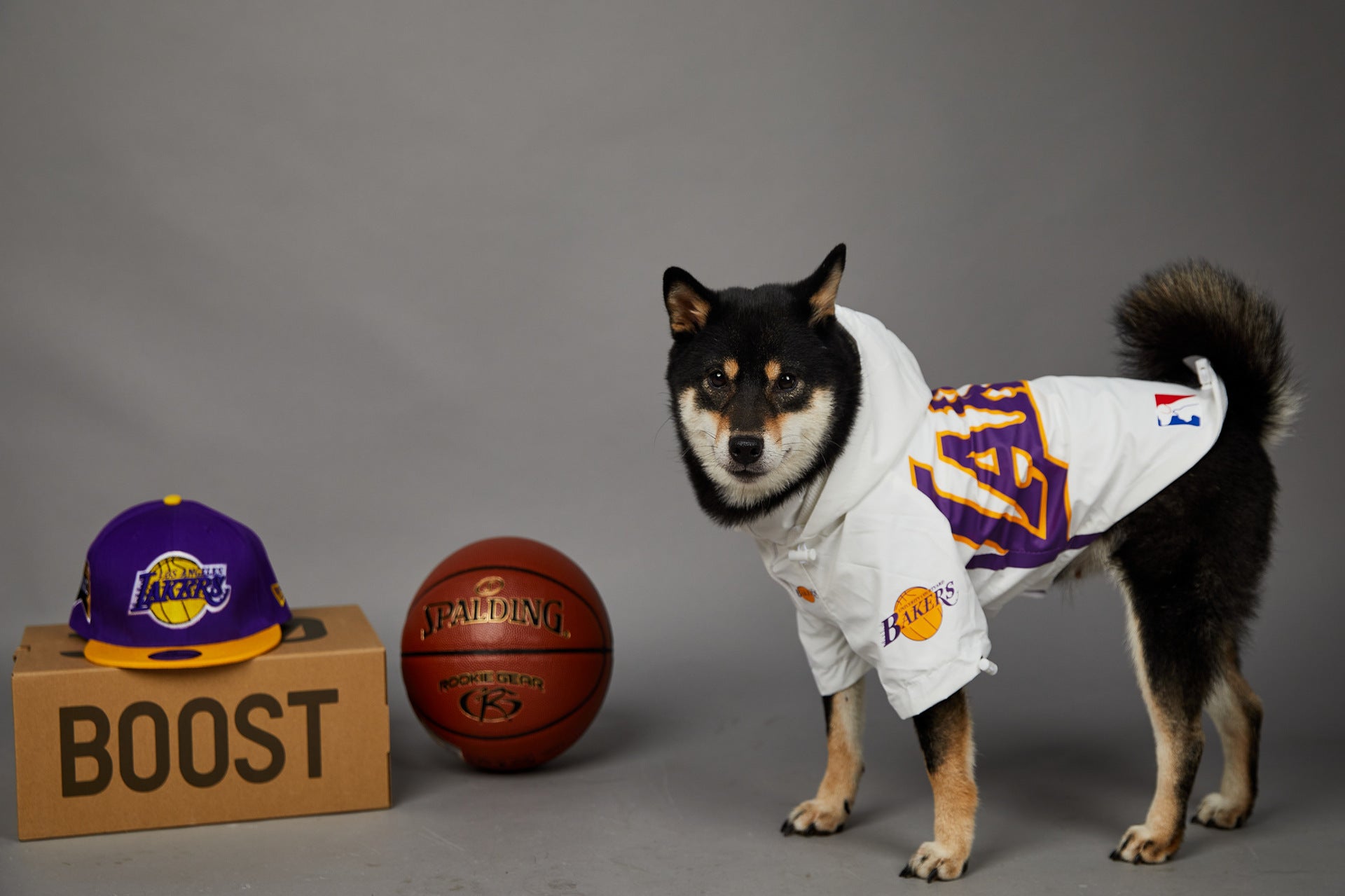Pet Polyester Shell Waterproof Outdoor Jacket Gear