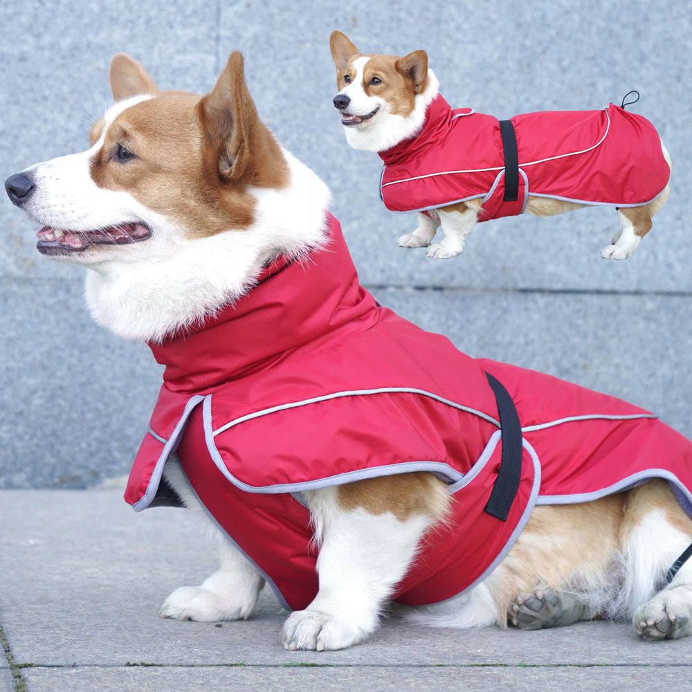 Pet Warm Shell Outdoor Jacket Outfit