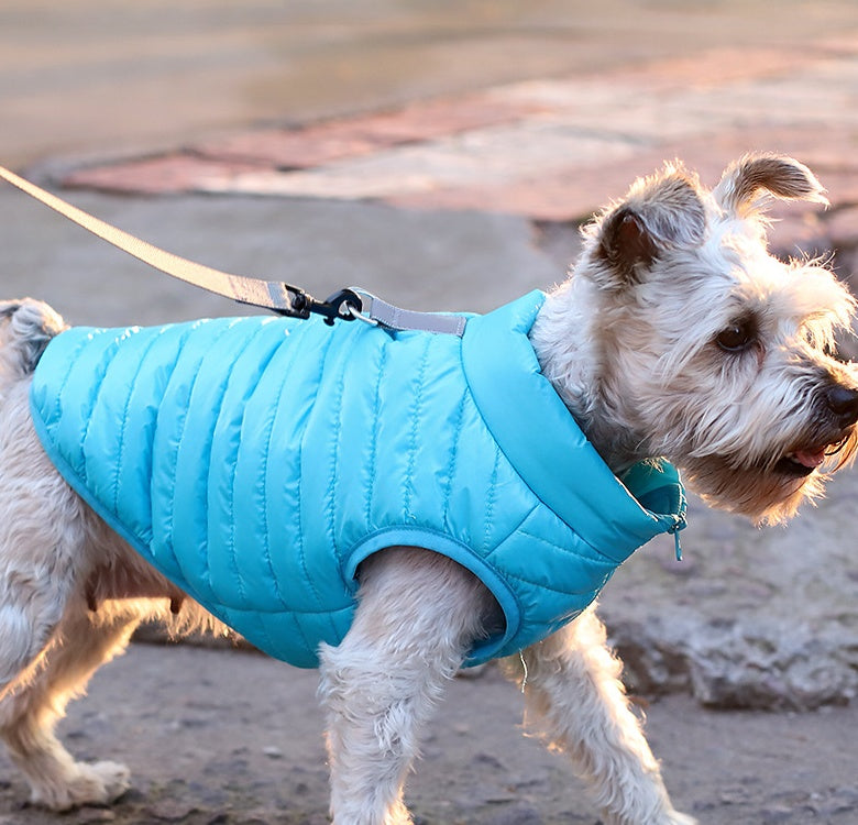 Autumn Winter Nylon Zipper Jacket Clothing For Pet