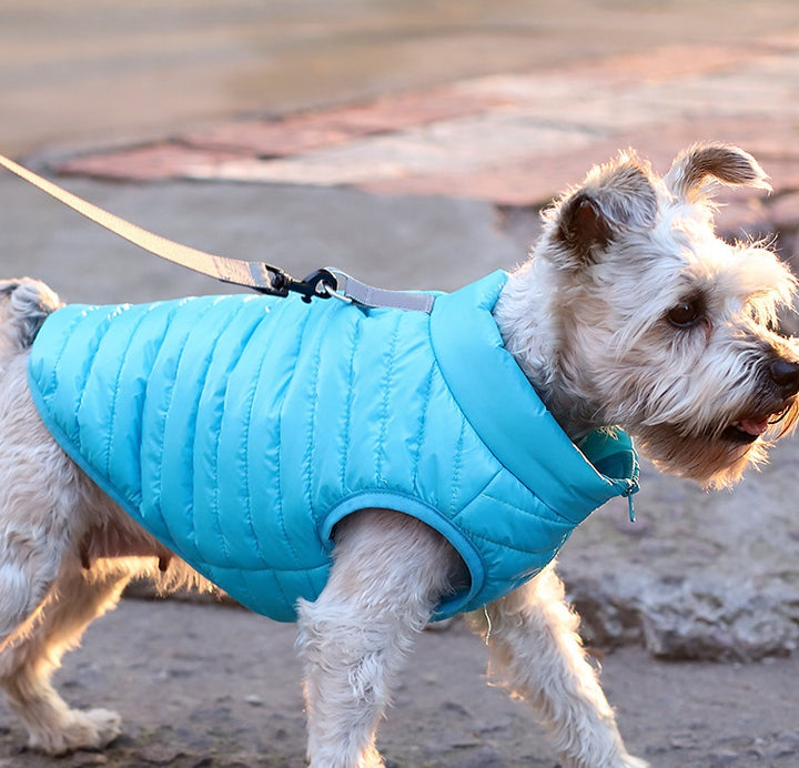 Autumn Winter Nylon Zipper Jacket Clothing For Pet