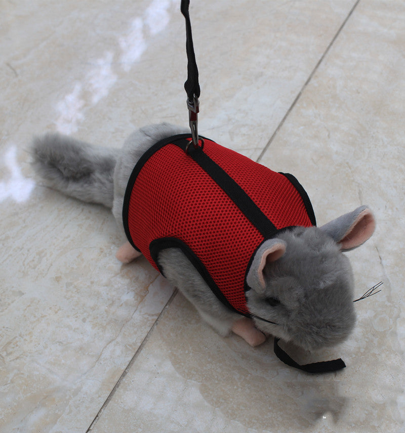 Small Pet Adjustable Walking Leash For Daily Use