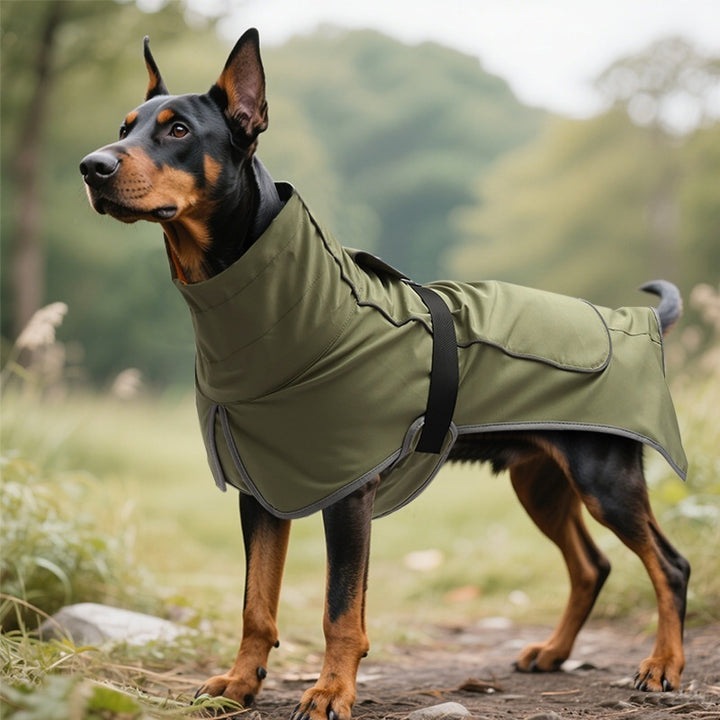 Waterproof Rainproof Dual Use Shell Trench Coat For Pet