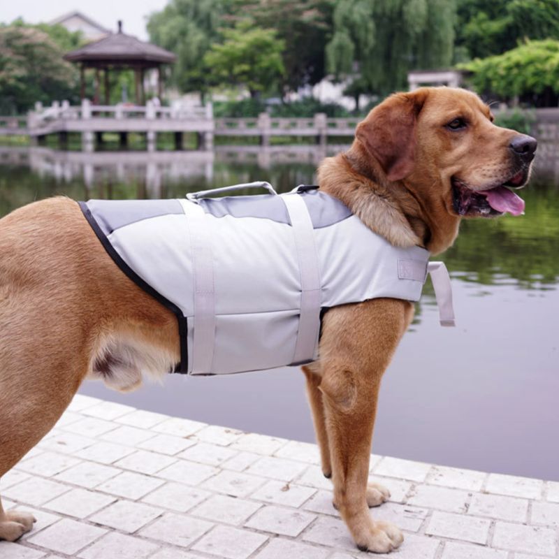 Pet Life Jacket Safety Buoyancy Vest