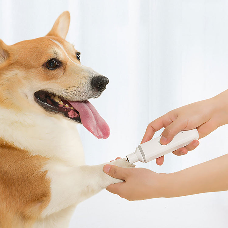 Electric Nail Grinder Polisher Tool For Pet