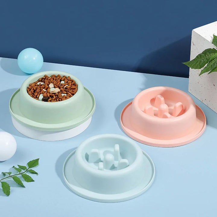 Anti Choking Slow Feeding Bowl Plate For Pet