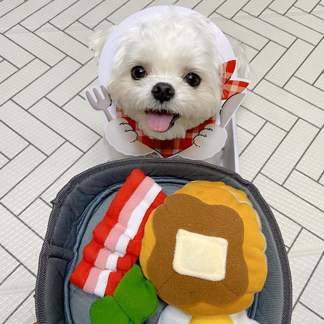 Pet Interactive Hide Food Puzzle Dispensing Toy