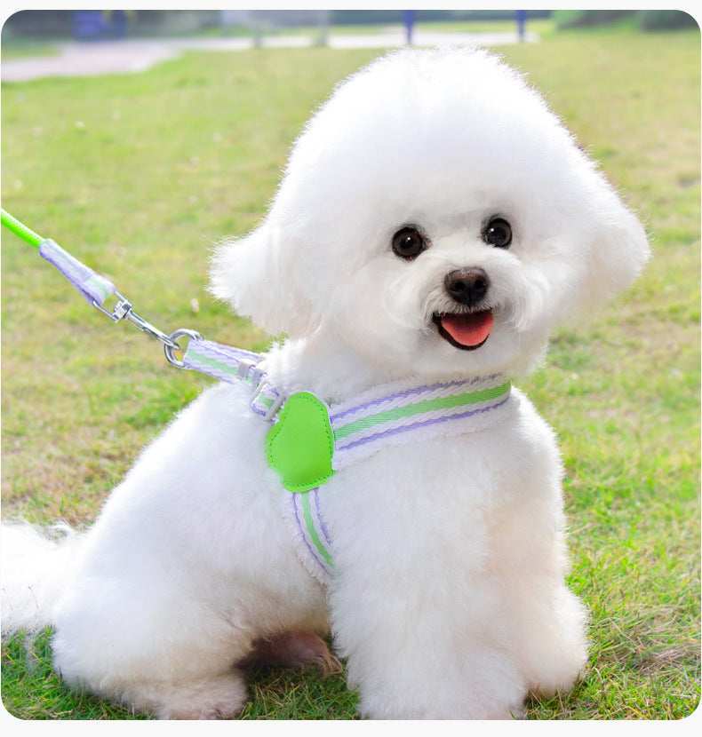 Breathable Summer Pet Chest Vest Walking Leash For Small Medium Pets