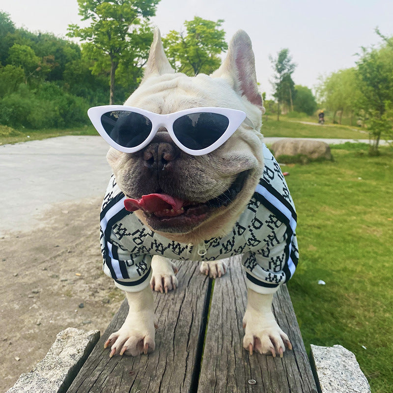 Zip Up Stretchy Jacket Clothing For Pet