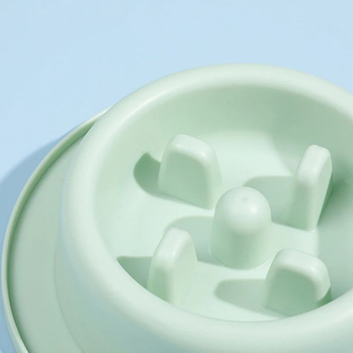 Anti Choking Slow Feeding Bowl Plate For Pet