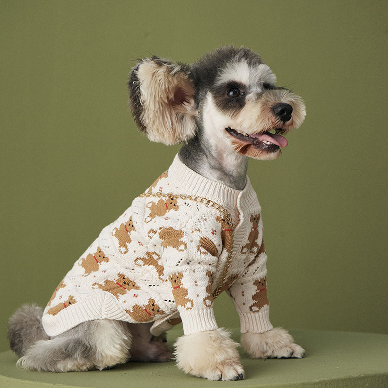 Pet Cute VIP Fashion Jacket Outfit