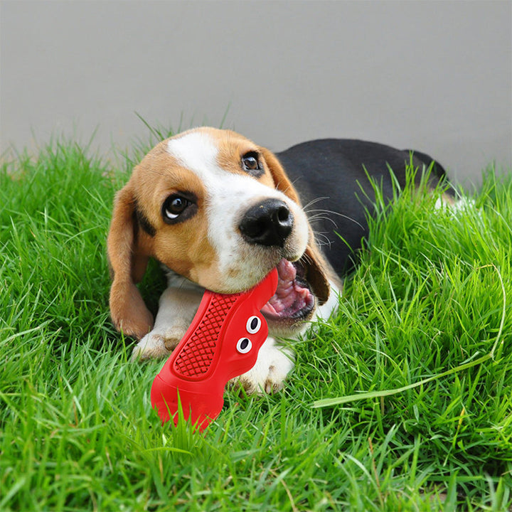 Pet Natural Rubber Vocal Rugby Chew Teething Toy