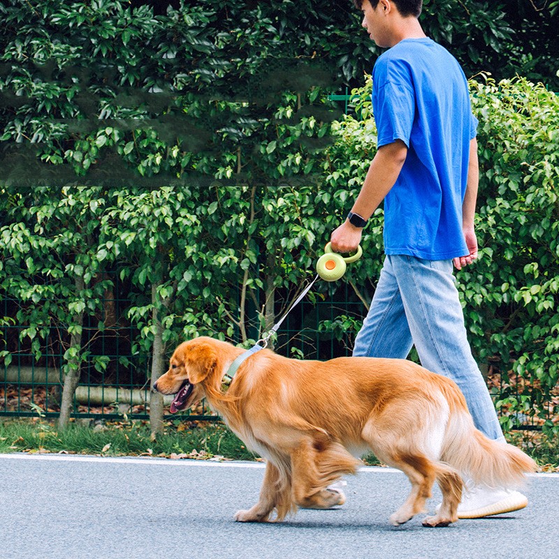 Retractable Reflective Pet Leash For Safe Walking