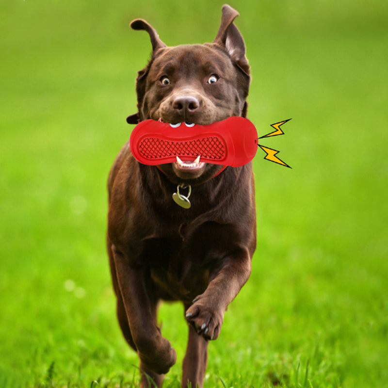 Pet Natural Rubber Vocal Rugby Chew Teething Toy