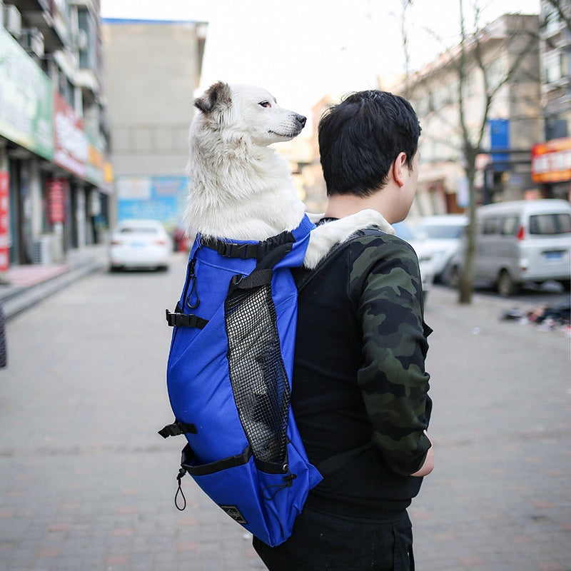 Pet Double Shoulder Backpack Travel Carrier Bag