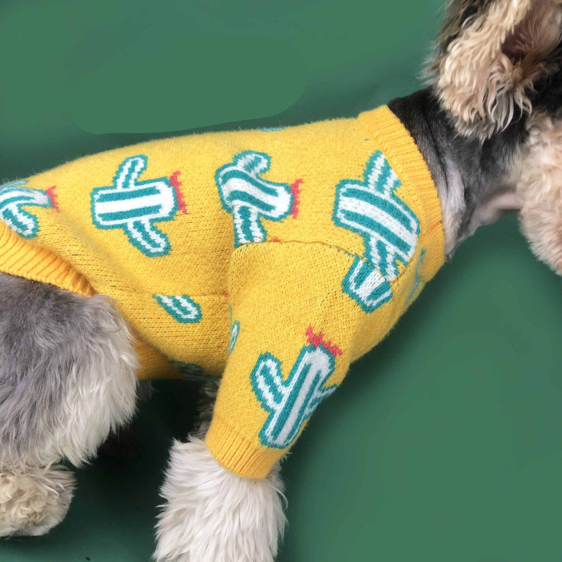 Pet Cactus Pattern Knit Sweater Warm Outfit