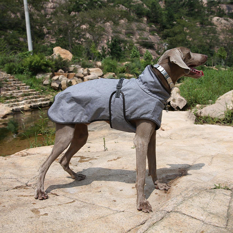 Winter Outdoor Ski Shell Jacket Suit For Pet