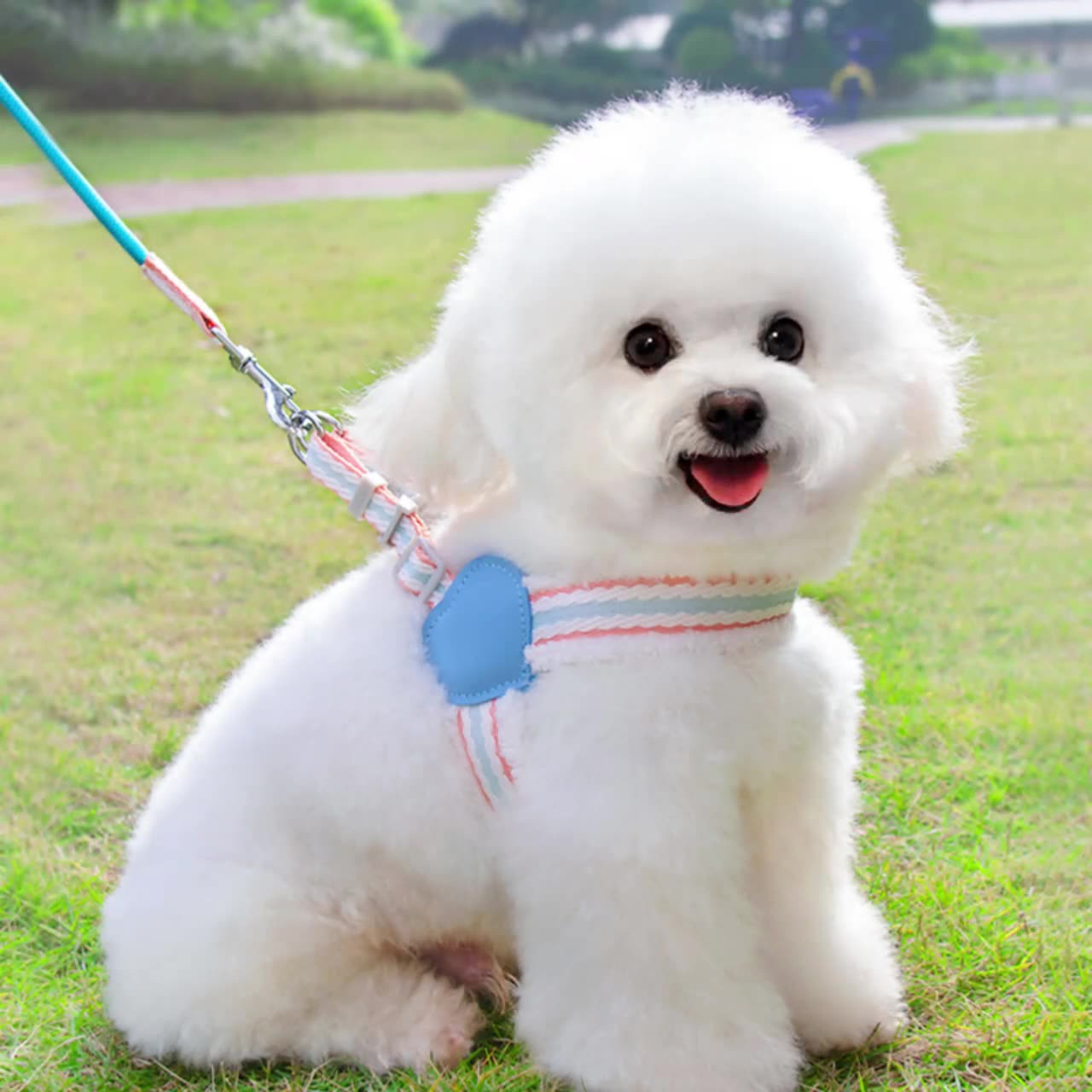 Breathable Summer Pet Chest Vest Walking Leash For Small Medium Pets