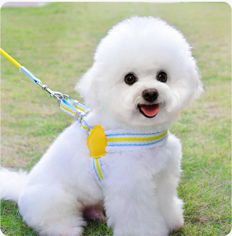 Breathable Summer Pet Chest Vest Walking Leash For Small Medium Pets