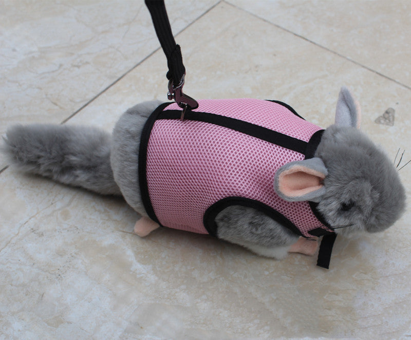Small Pet Adjustable Walking Leash For Daily Use