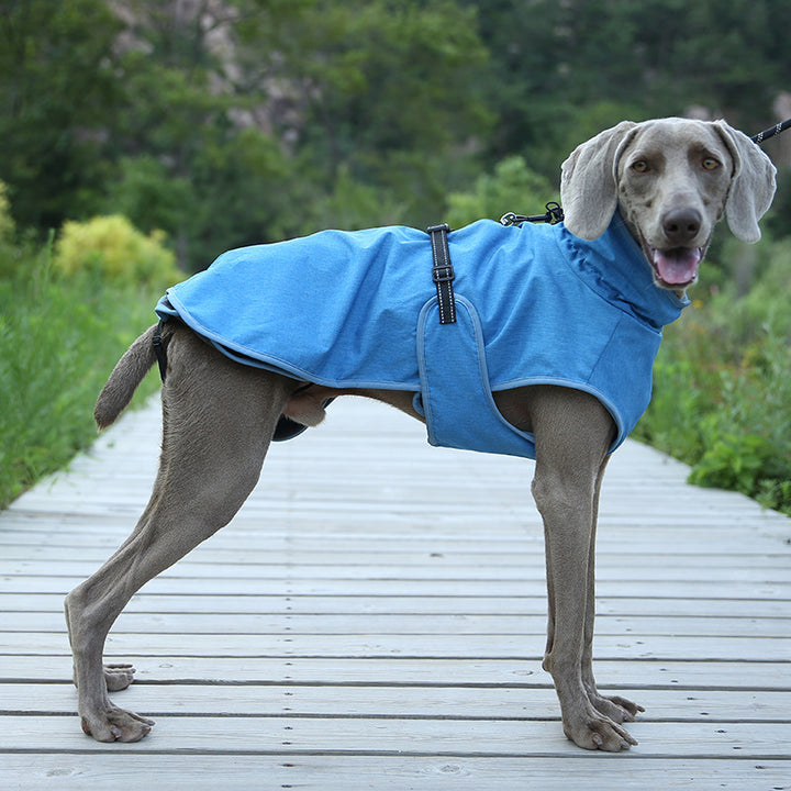 Winter Outdoor Ski Shell Jacket Suit For Pet