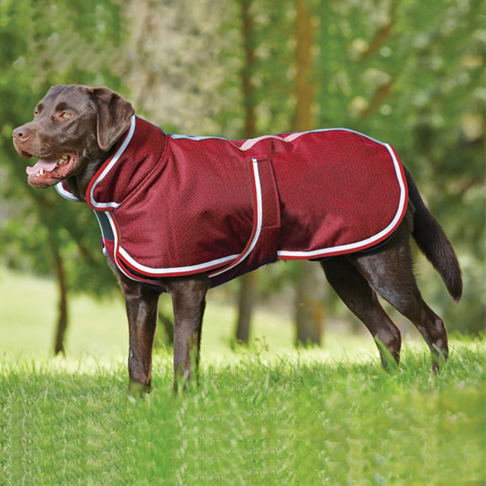 Autumn Winter Warm Waterproof Leisure Jacket For Pet