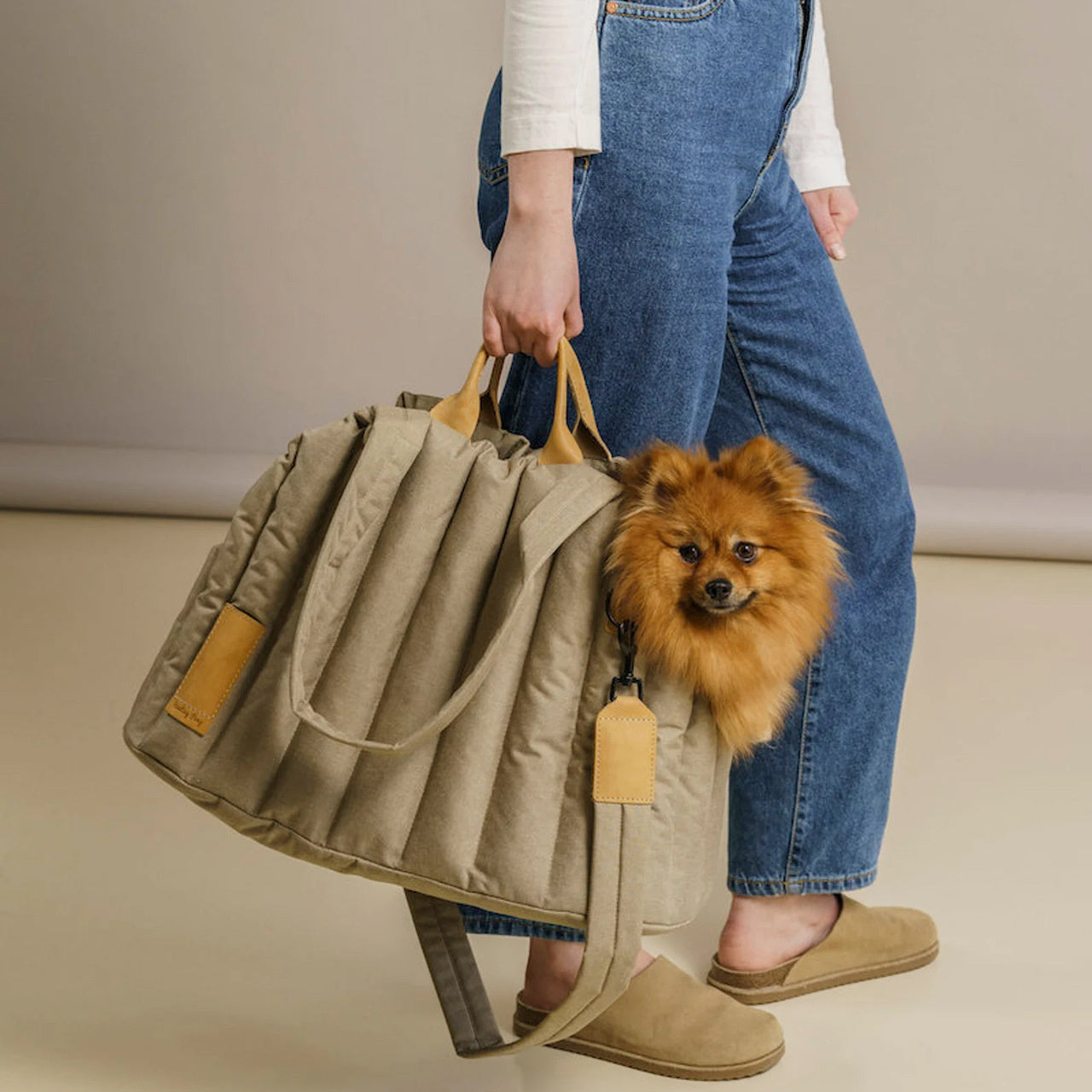 Pet Lightweight Waterproof Portable Handbag Carrier Bag