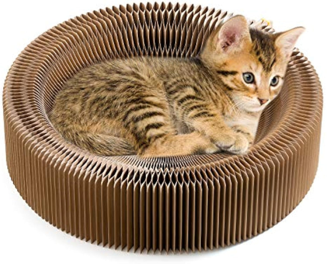 Collapsible Cardboard Scratcher Lounge Bed For Pet