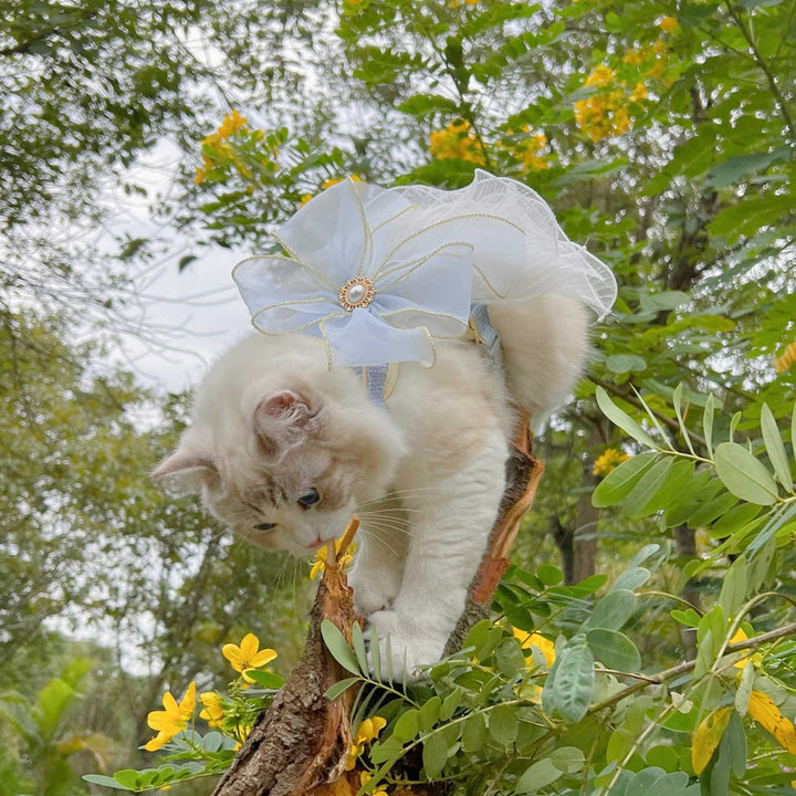 Multi Layer Yarn Pet Leash For Small Pets