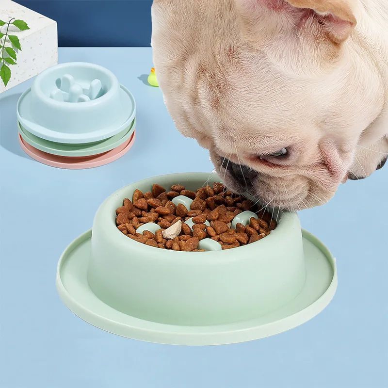 Anti Choking Slow Feeding Bowl Plate For Pet