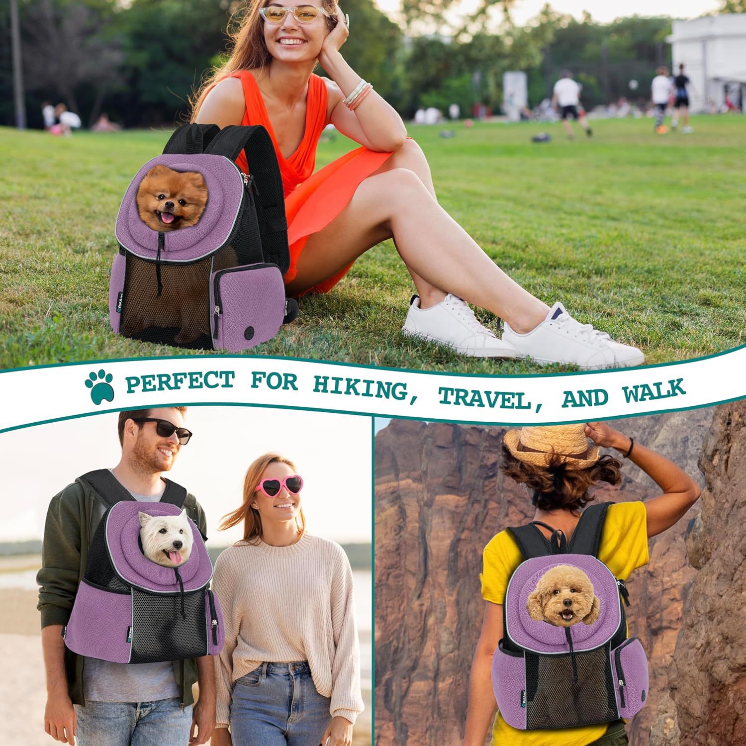 Pet Portable Breathable Travel Backpack Carrier Bag