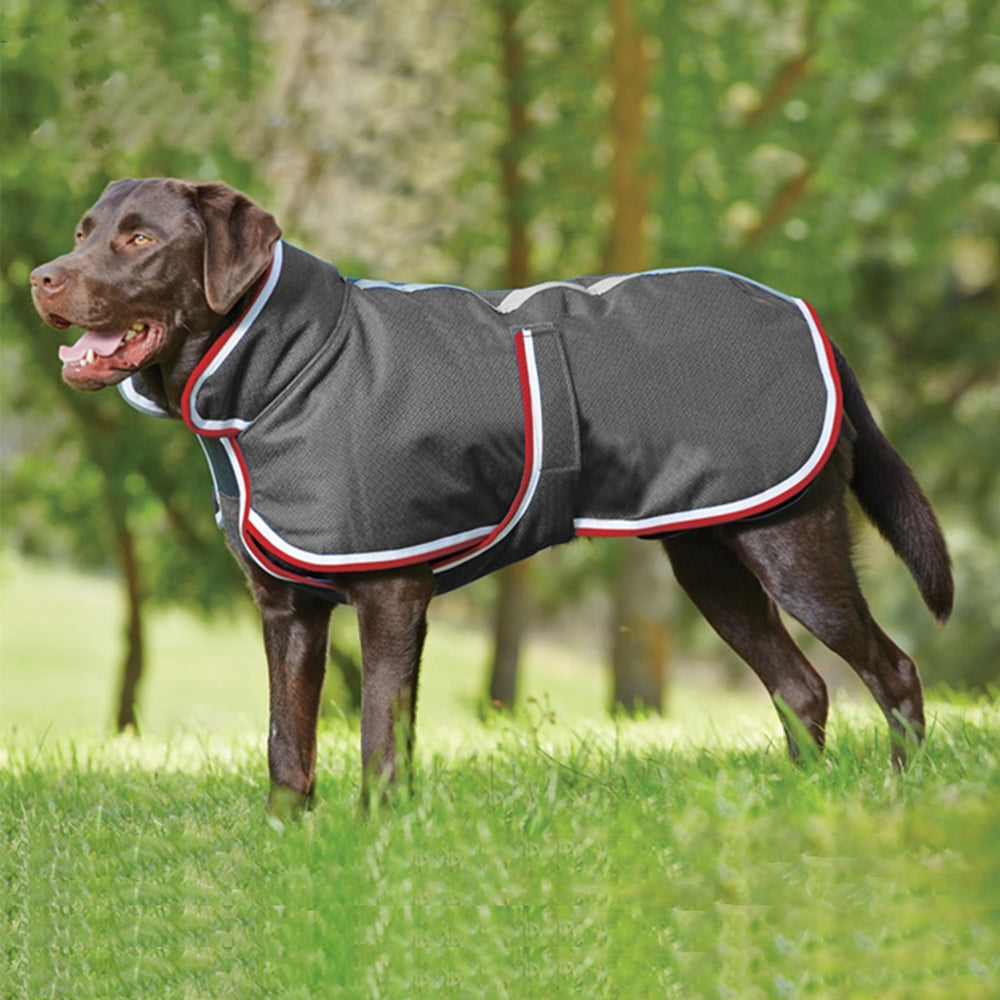 Autumn Winter Warm Waterproof Leisure Jacket For Pet