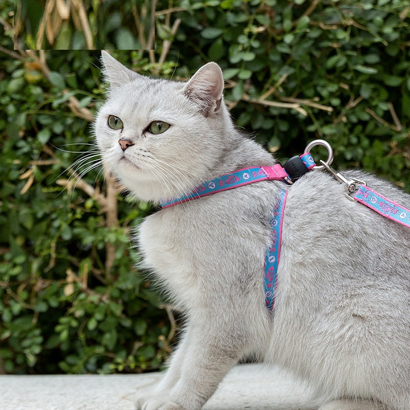 Bell Chest Strap Vest With Leash For Pet