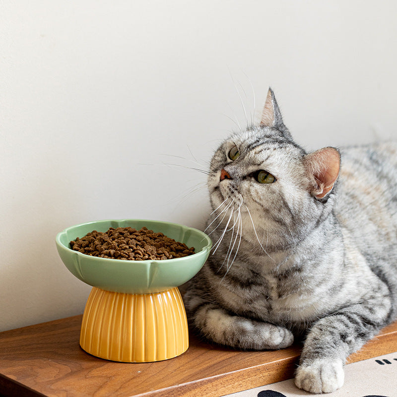 Candy Color Ceramic Feeding Bowl For Pet