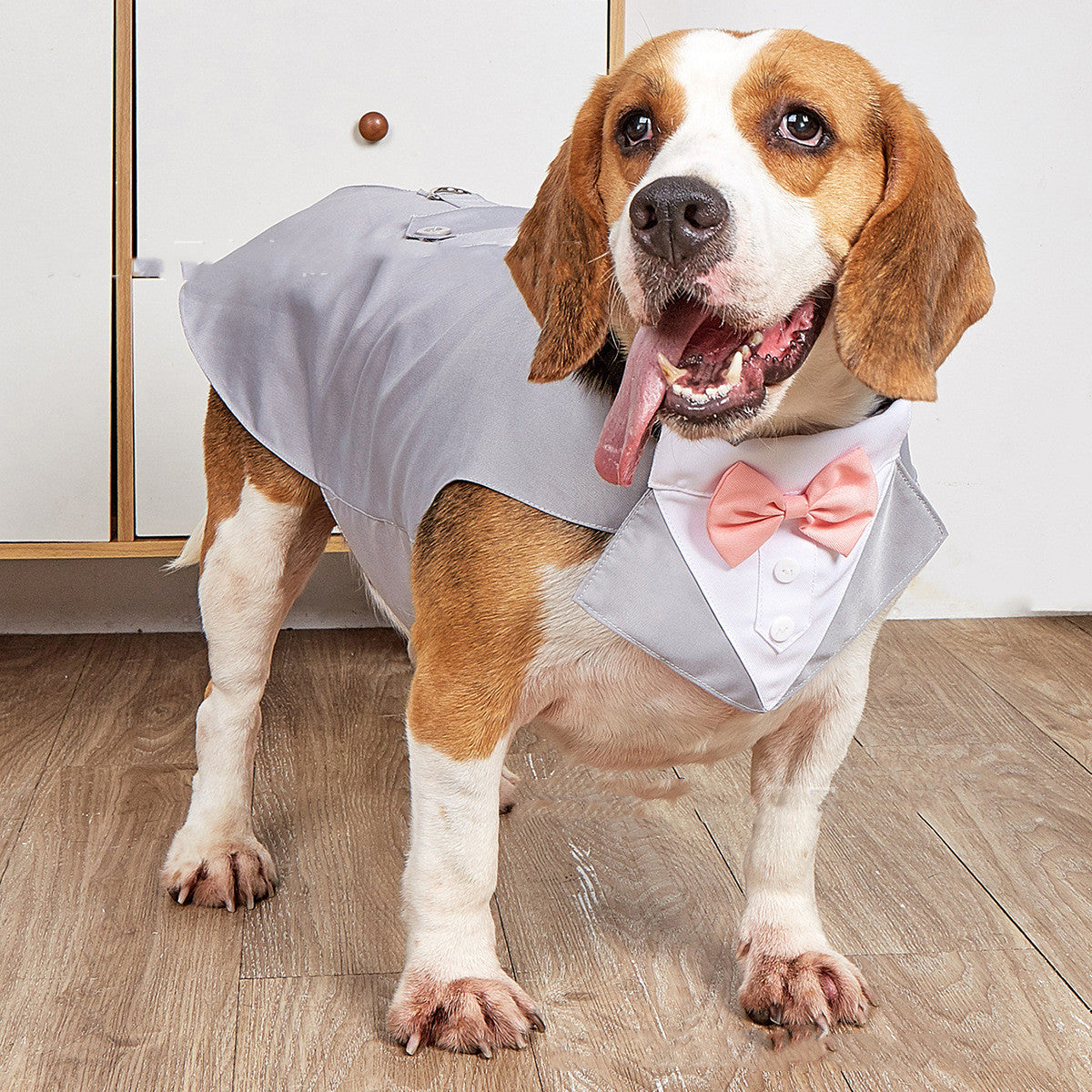 Swallowtail Wedding Suit Jacket Formal Clothing For Pet