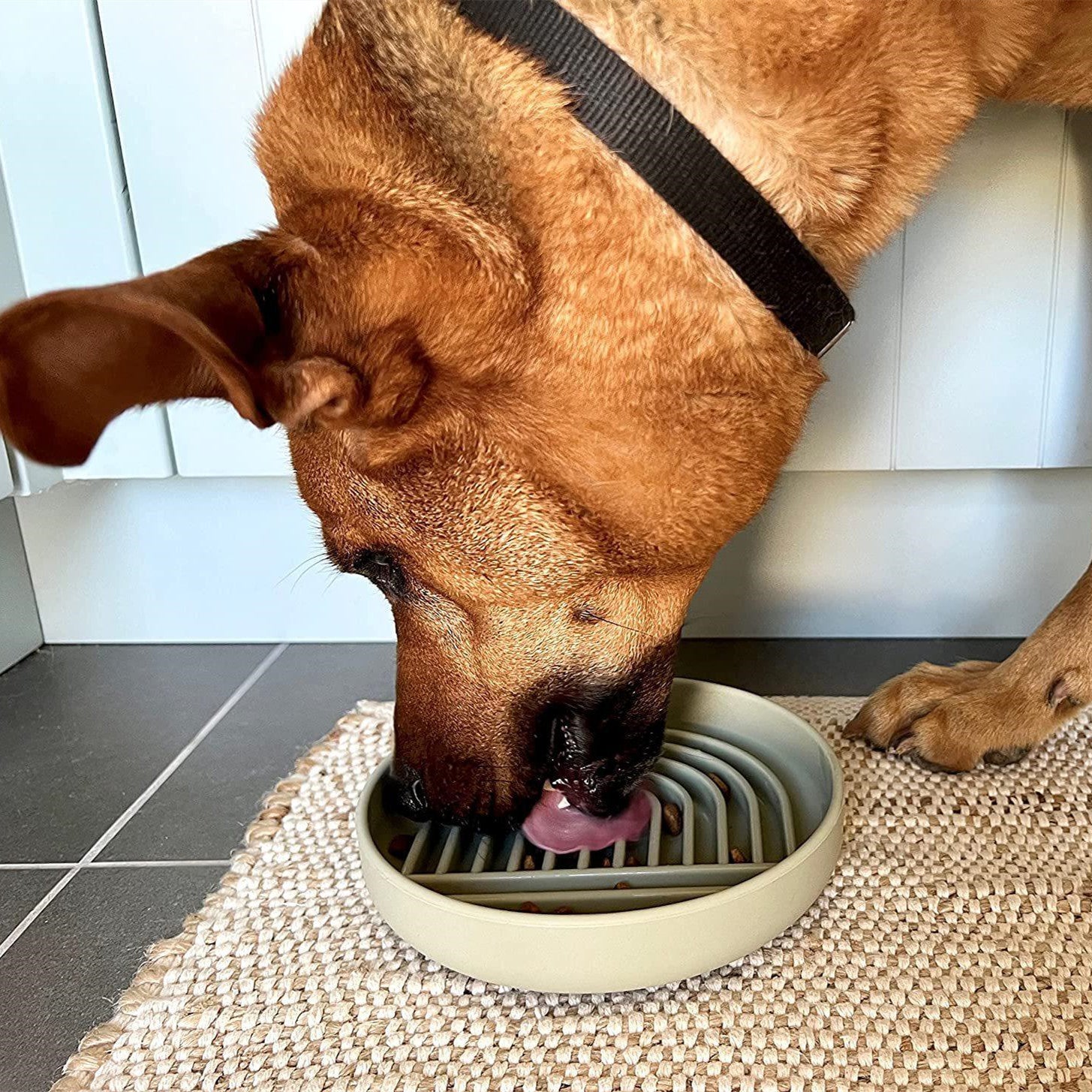 Fashion Simple Slow Feeding Bowl For Pet