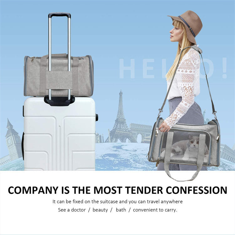 Pet Portable Foldable Hand Held Carrier Bag