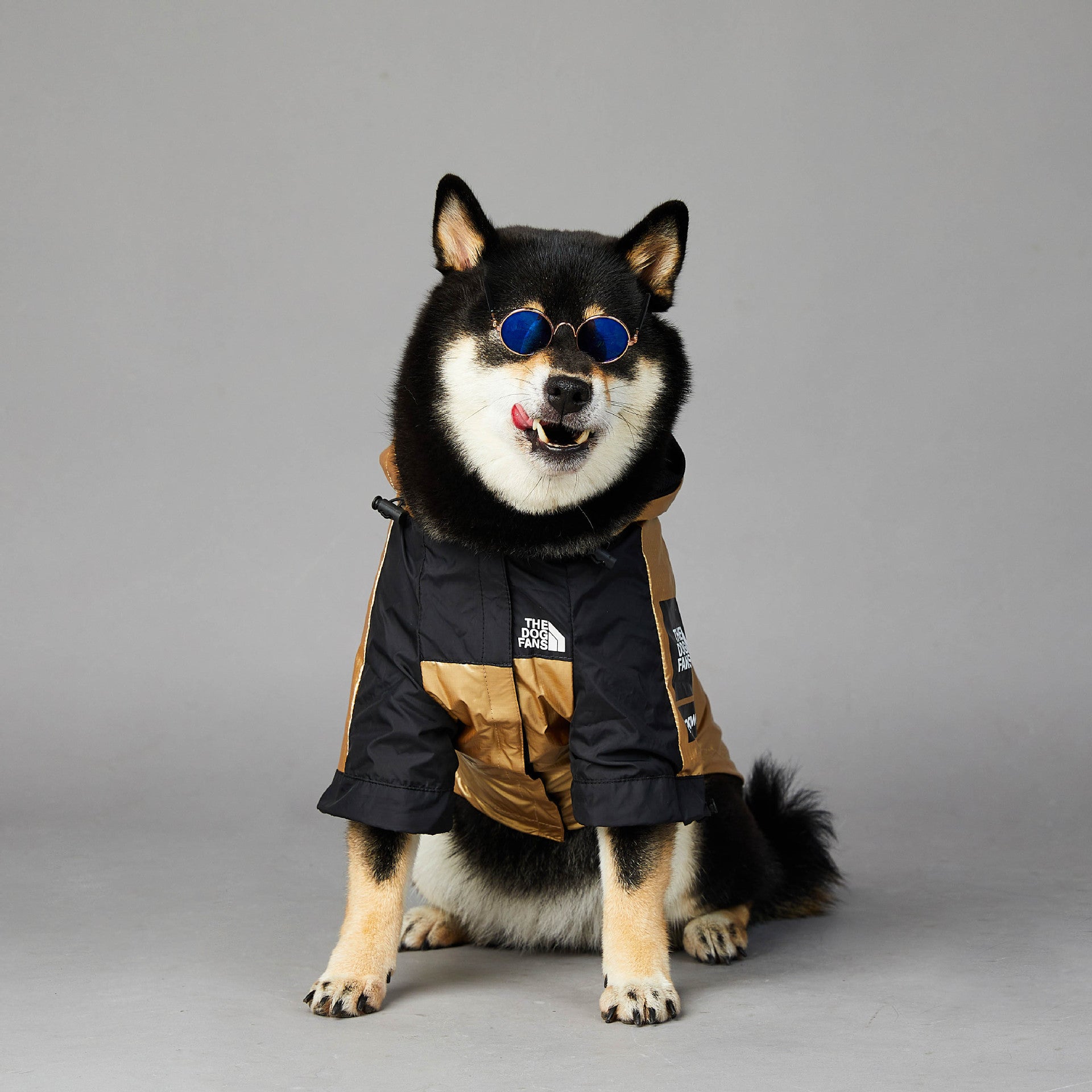 Pet Large Breed Waterproof Raincoat Jacket Outfit